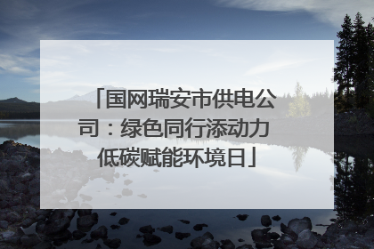 国网瑞安市供电公司：绿色同行添动力 低碳赋能环境日