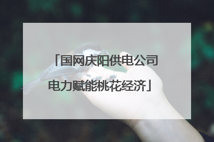 国网庆阳供电公司电力赋能桃花经济