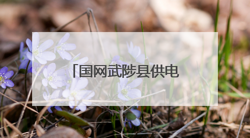 国网武陟县供电公司：用电进校园  安全过暑假