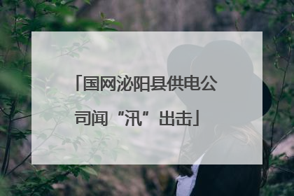 国网泌阳县供电公司闻“汛”出击
