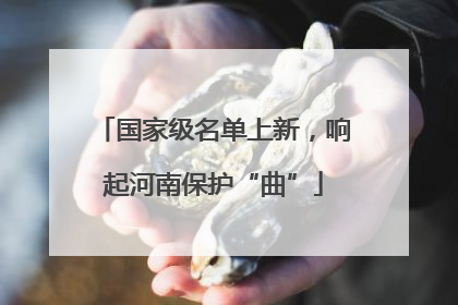 国家级名单上新，响起河南保护“曲”