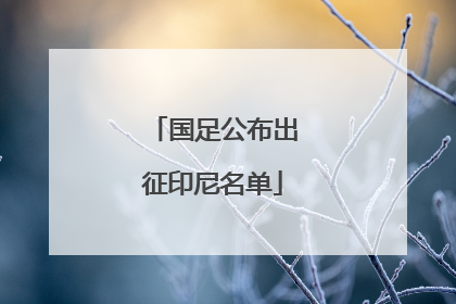 国足公布出征印尼名单
