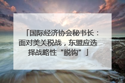 国际经济协会秘书长：面对美关税战，东盟应选择战略性“脱钩”