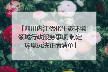 四川内江优化生态环境领域行政服务事项 制定环境执法正面清单