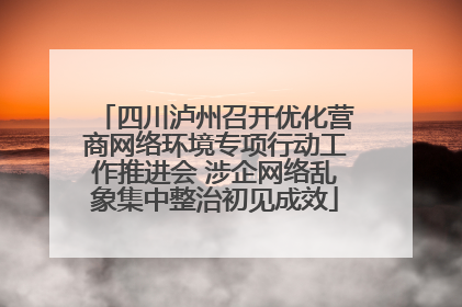 四川泸州召开优化营商网络环境专项行动工作推进会 涉企网络乱象集中整治初见成效