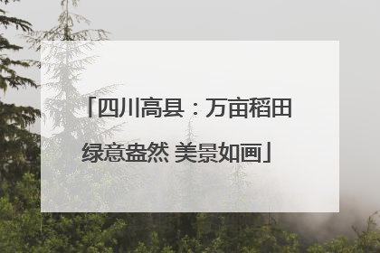 四川高县：万亩稻田绿意盎然 美景如画