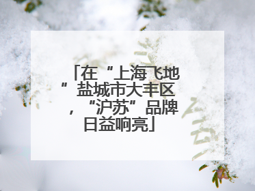 在“上海飞地”盐城市大丰区，“沪苏”品牌日益响亮