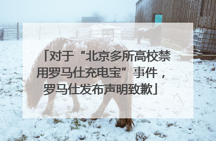 对于“北京多所高校禁用罗马仕充电宝”事件，罗马仕发布声明致歉