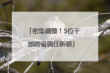 密集调整！5位干部跨省调任新疆
