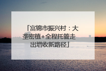 富锦市振兴村：大垄密植+全程托管走出增收新路径