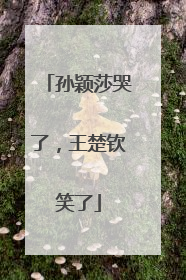 孙颖莎哭了，王楚钦笑了