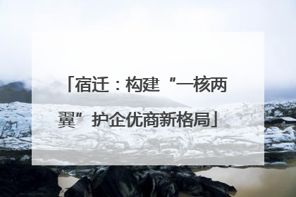 宿迁：构建“一核两翼”护企优商新格局