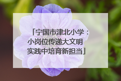 宁国市津北小学：小岗位传递大文明 实践中培育新担当