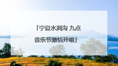 宁夏水洞沟 九点音乐节激情开唱