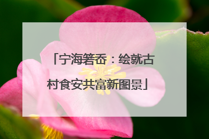 宁海箬岙：绘就古村食安共富新图景