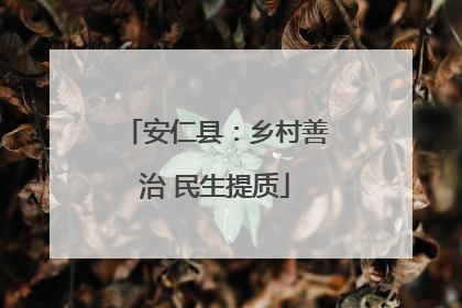 安仁县：乡村善治 民生提质