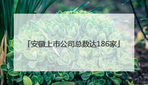 安徽上市公司总数达186家