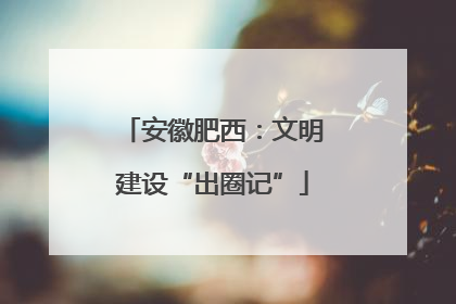 安徽肥西：文明建设“出圈记”