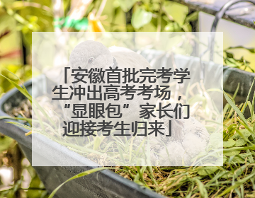 安徽首批完考学生冲出高考考场，“显眼包”家长们迎接考生归来