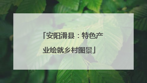 安阳滑县：特色产业绘就乡村图景
