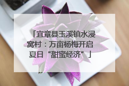 宜章县玉溪镇水浸窝村：万亩杨梅开启夏日“甜蜜经济”