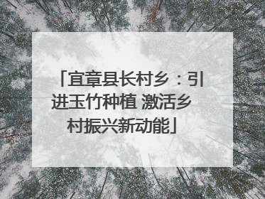 宜章县长村乡：引进玉竹种植 激活乡村振兴新动能