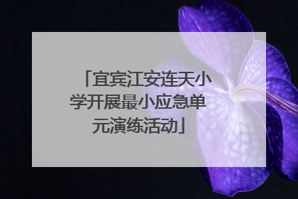 宜宾江安连天小学开展最小应急单元演练活动