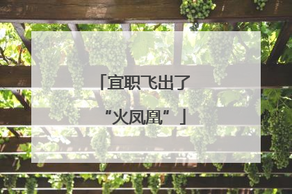 宜职飞出了“火凤凰”
