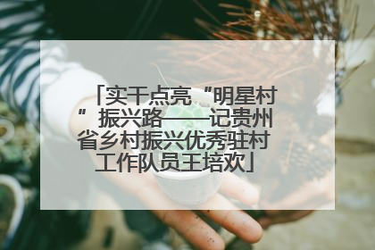 实干点亮“明星村”振兴路——记贵州省乡村振兴优秀驻村工作队员王培欢