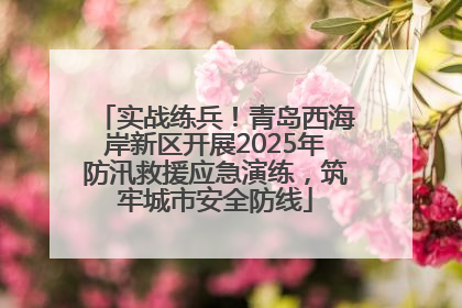 实战练兵！青岛西海岸新区开展2025年防汛救援应急演练，筑牢城市安全防线