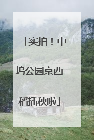 实拍！中坞公园京西稻插秧啦