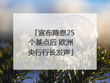 宣布降息25个基点后 欧洲央行行长发声
