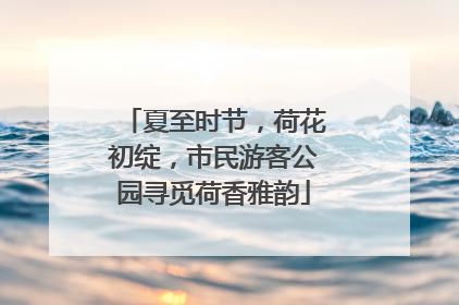 夏至时节，荷花初绽，市民游客公园寻觅荷香雅韵