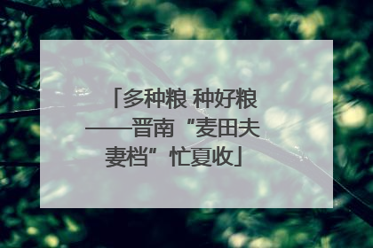多种粮 种好粮——晋南“麦田夫妻档”忙夏收