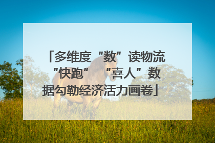 多维度“数”读物流“快跑” “喜人”数据勾勒经济活力画卷