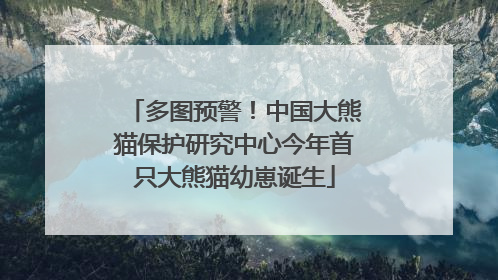 多图预警！中国大熊猫保护研究中心今年首只大熊猫幼崽诞生