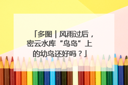 多图｜风雨过后，密云水库“鸟岛”上的幼鸟还好吗？