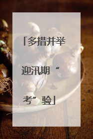 多措并举 迎汛期“考”验