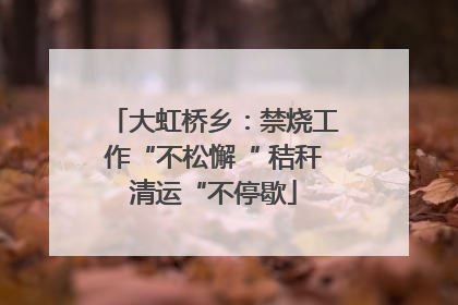 大虹桥乡：禁烧工作“不松懈“ 秸秆清运“不停歇