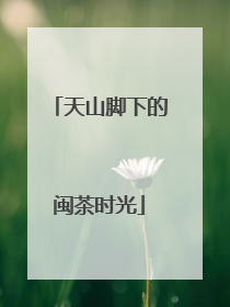 天山脚下的闽茶时光