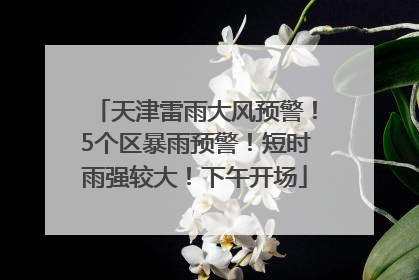 天津雷雨大风预警！5个区暴雨预警！短时雨强较大！下午开场