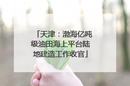 天津：渤海亿吨级油田海上平台陆地建造工作收官