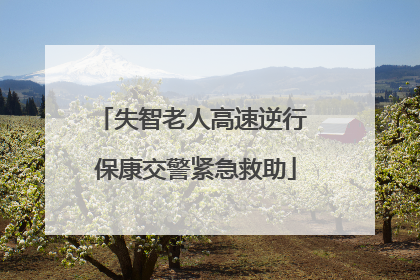 失智老人高速逆行 保康交警紧急救助
