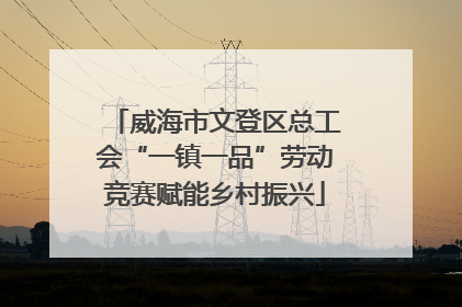 威海市文登区总工会“一镇一品”劳动竞赛赋能乡村振兴