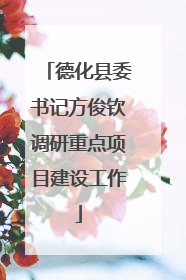 德化县委书记方俊钦调研重点项目建设工作