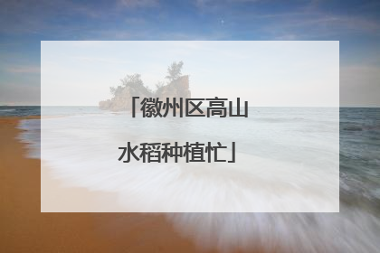 徽州区高山水稻种植忙