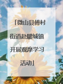 微山县傅村街道赴驩城镇开展观摩学习活动