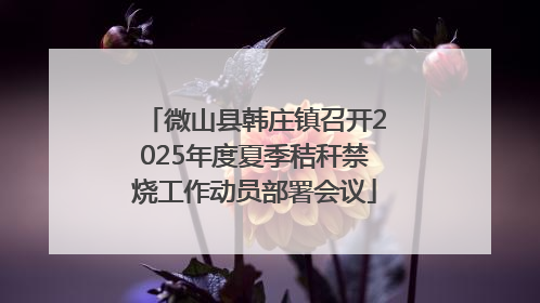 微山县韩庄镇召开2025年度夏季秸秆禁烧工作动员部署会议