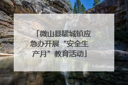 微山县驩城镇应急办开展“安全生产月”教育活动