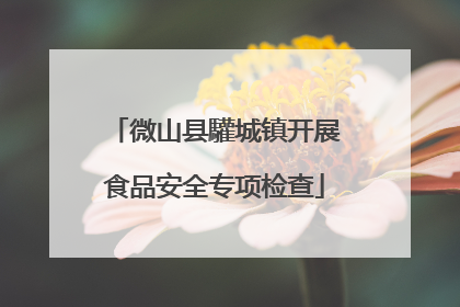 微山县驩城镇开展食品安全专项检查